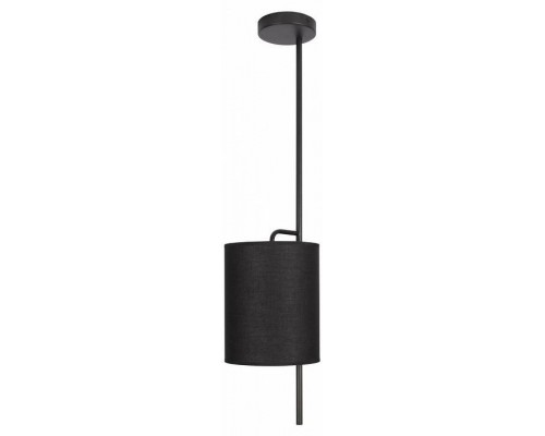 Светильник на штанге Loft it Ritz 10253P Black