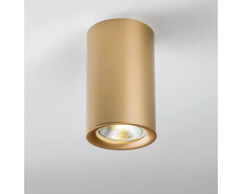 Рамка на 1 светильник Lightstar Rullo 204440