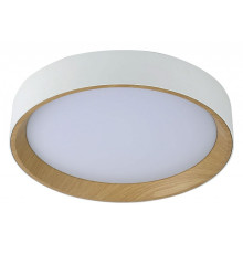 Накладной светильник De City Ривз 674018001