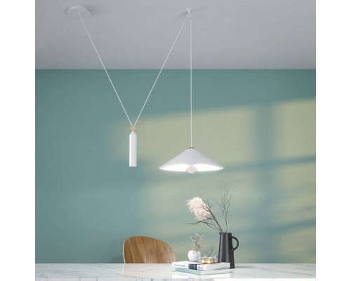 Подвесной светильник Maytoni Peso 1xGU10 черный P080PL-01B