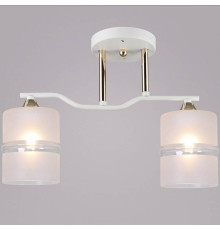 Светильник на штанге 02283-0.3-02 WT+FGD