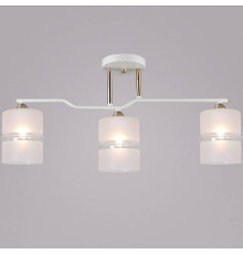 Светильник на штанге 02283-0.3-03 WT+FGD