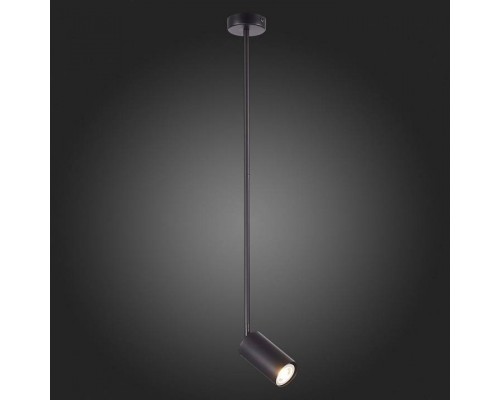 Светильник на штанге ST-Luce Sormano SL1206.403.01