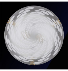 Накладной светильник Sneha  Вираж мат (300) НПБ 01-2х60-001