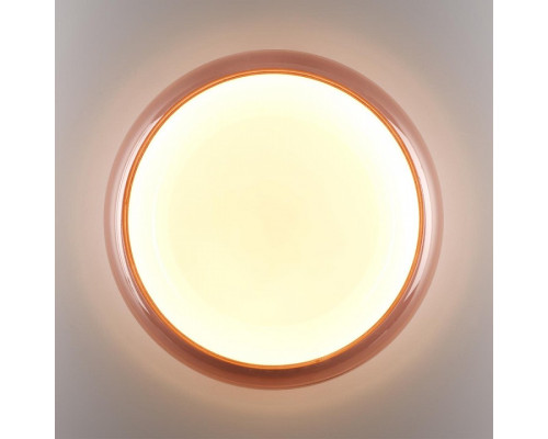 Накладной светильник Sonex PORTMAN 7778/DLN