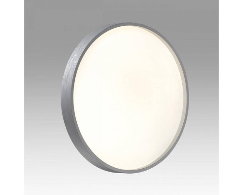 Накладной светильник Sonex Gaby 7784/CL