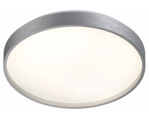 Накладной светильник Sonex Gaby 7784/CL