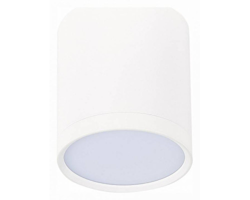 Накладной светильник ST-Luce Rene ST113.542.05