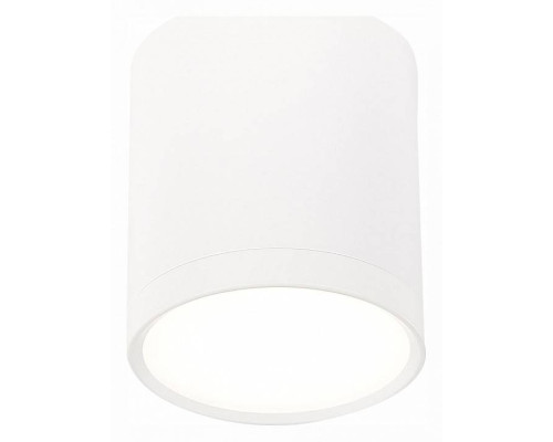 Накладной светильник ST-Luce Rene ST113.542.05