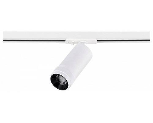 Светильник на штанге ST-Luce BASE ST385.536.20