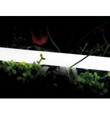 Лента светодиодная SWG PRO  00-00013283