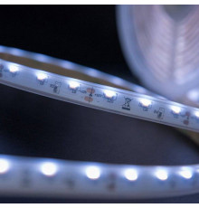 Лента светодиодная SWG SWG31560 SWG31560-12-4.8-W-67