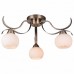 Потолочная люстра TopLight Olivia TL3750X-03AB