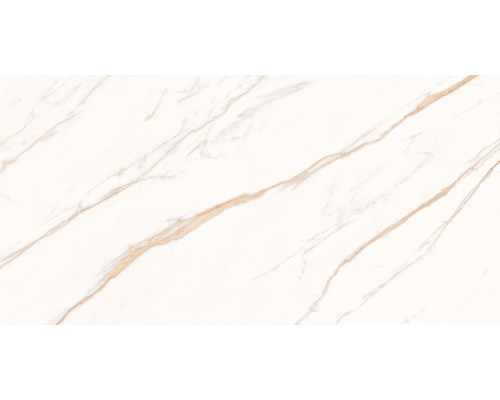 Astro Ivory Керамогранит светло-бежевый SG50004820R 59,5х119,1 матовый