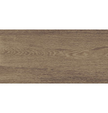 Anais Плитка настенная коричневый 34094 25х50