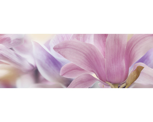 Dec Calido Dance A Декор 25х70