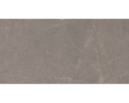 Splash Grey Керамогранит серый 60х120 Сатинированный Карвинг