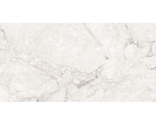 Emil White Керамогранит светло-серый 60x120 Полированный