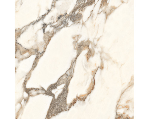 Calacatta Bronze Керамогранит белый полированный 60х60