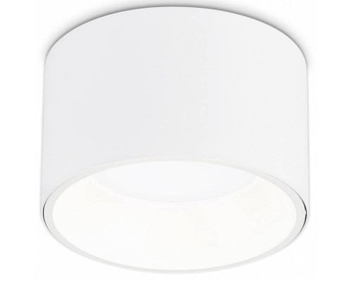 Накладной светильник Ambrella Light TN TN52892