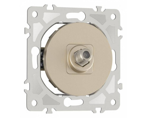 ТВ-розетка без рамки Arte Milano am-202 202.42-1.shampan