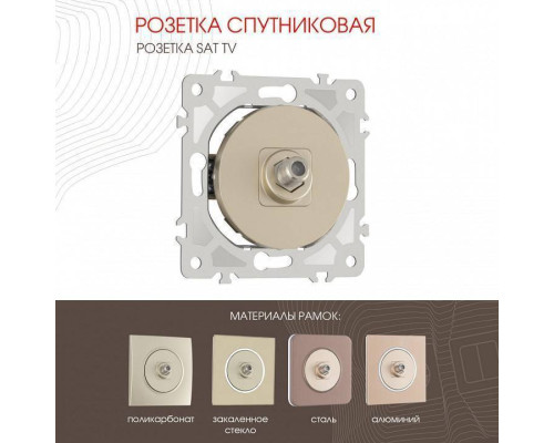 ТВ-розетка без рамки Arte Milano am-202 202.42-1.shampan