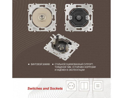 ТВ-розетка без рамки Arte Milano am-202 202.42-1.shampan