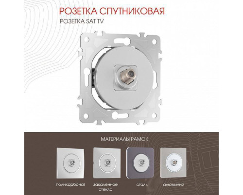 ТВ-розетка без рамки Arte Milano am-202 202.42-1.silver