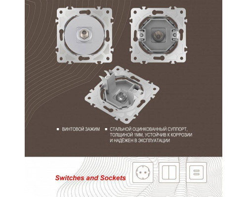 ТВ-розетка без рамки Arte Milano am-202 202.42-1.silver