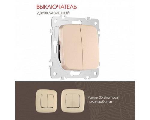Выключатель двухклавишный без рамки Arte Milano 205 205.30-2.shampan