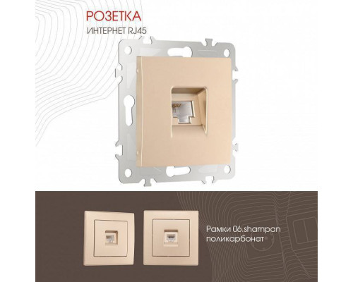 Розетка Ethernet RJ-45 без рамки Arte Milano am-206 206.45-1.shampan