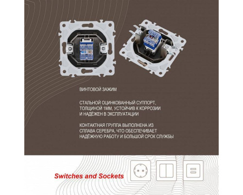 Розетка Ethernet RJ-45 без рамки Arte Milano am-206 206.45-1.shampan