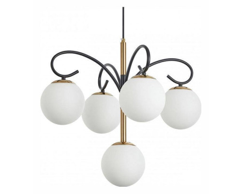 Подвесная люстра Arte Milano Neapolis-73808 5 ламп 273808/4+1 BK/GD