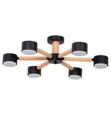 Потолочная люстра Arte Lamp TENDA A1624PL-6BK