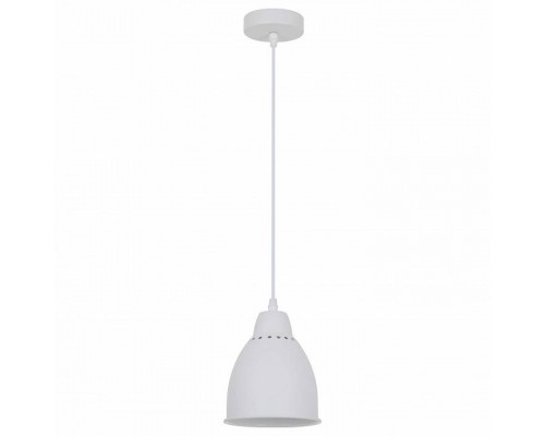 Подвесной светильник Arte Lamp Braccio A2054SP-1WH