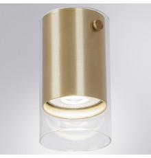 Накладной светильник Arte Lamp Lazio A5365PL-1SG