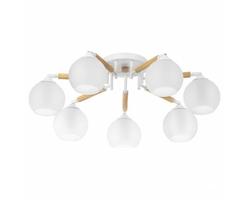 Потолочная люстра Citilux Tika CL133170