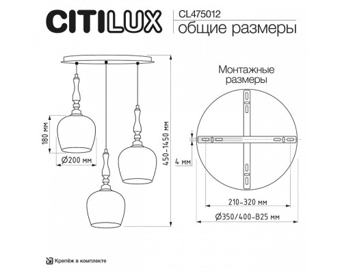 Подвесной светильник Citilux NORT CL475012