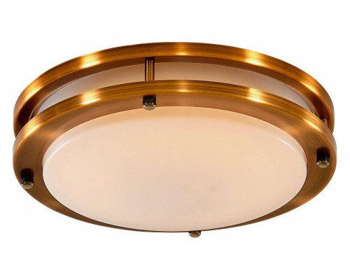 Светильник потолочный Citilux Бостон 20 Вт LED IP44 CL709203N