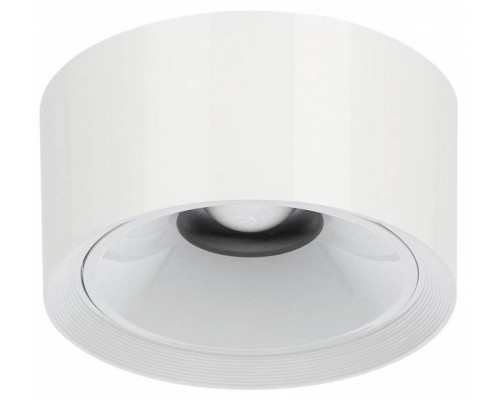 Накладной светильник Citilux Rover CL743060N