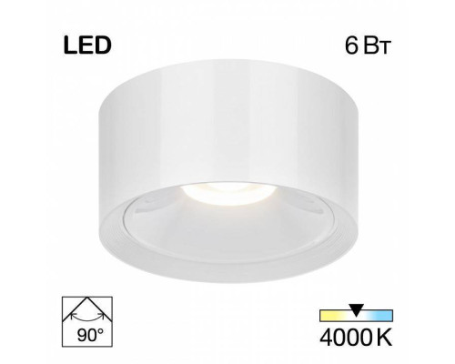 Накладной светильник Citilux Rover CL743060N