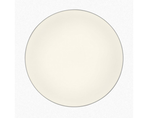 Накладной светильник Citilux BART CL755390