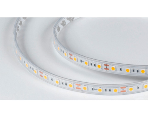 Лента светодиодная DesignLed DSG560 00-00000519