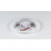 Лента светодиодная DesignLed DSG2196 DSG2196-24-WW-33