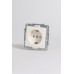 Розетка с заземлением и со шторкой, без рамки Elbi Eleсtriс Zena Vega 609-010200-243