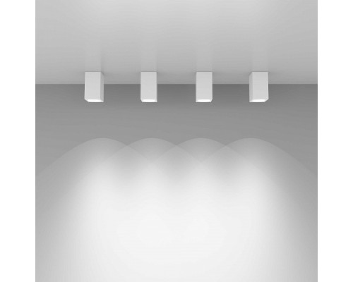 Накладной светильник Elektrostandard 1085 GU10 a040989
