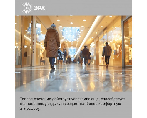 Лампа светодиодная Эра Стандарт LED POWER T80-20W-2700-E27