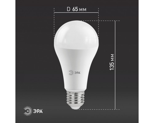 Лампа светодиодная Эра Стандарт LED A65-25W-827-E27