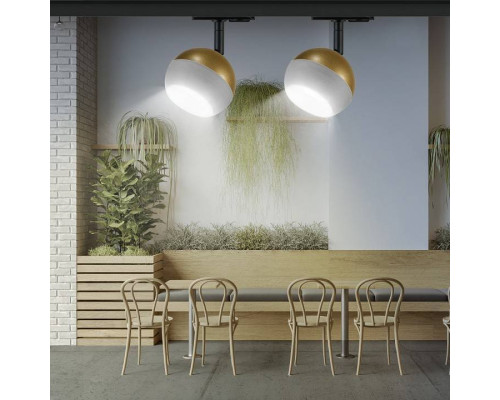 Светильник на штанге Эра  TR46 - GX53 MG