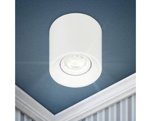 Накладной светильник Эра OL25-1 WH Б0054383